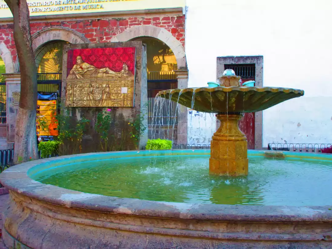 Photo of Five Essential Thing