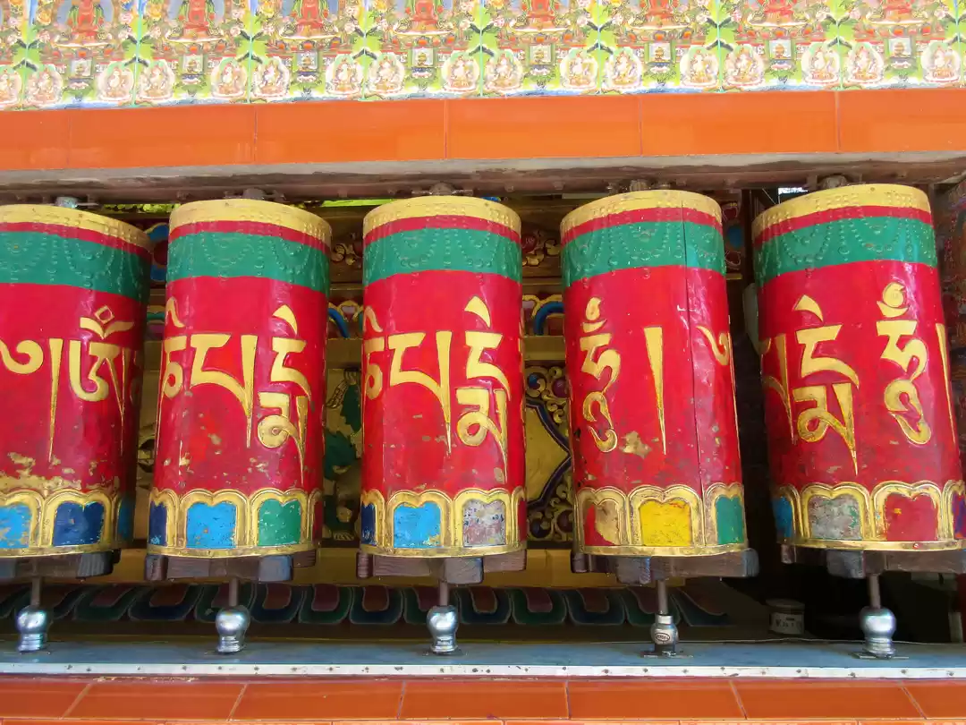 Photo of A Guide to Dharamsal