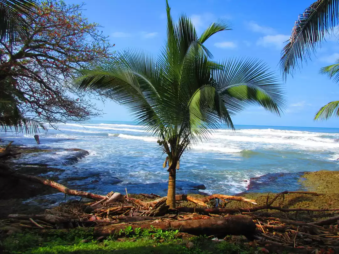 Photo of Ten Highlights of Co