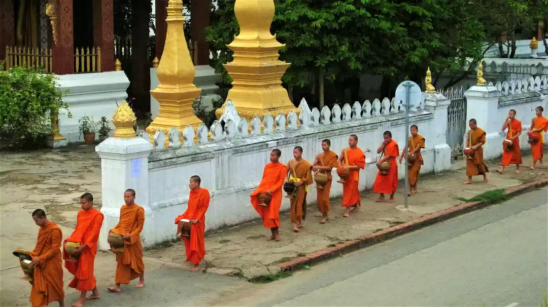 Photo of Ten Highlights of So