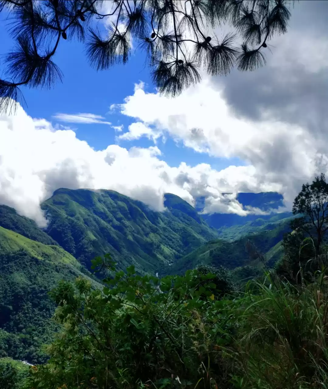 Photo of Soulful Shillong #Co