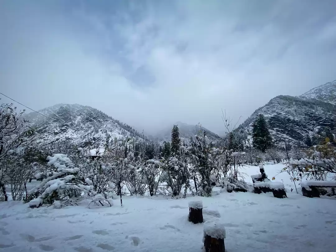 Photo of The Un-touched Himac