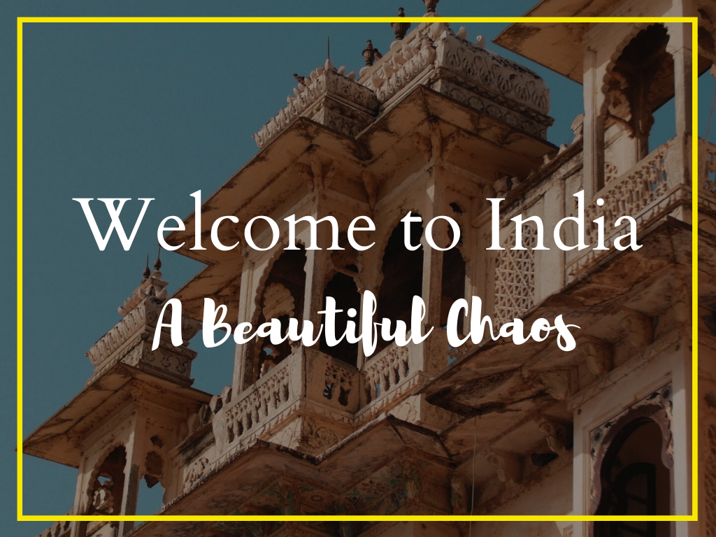 Photo of Volunteer in Delhi