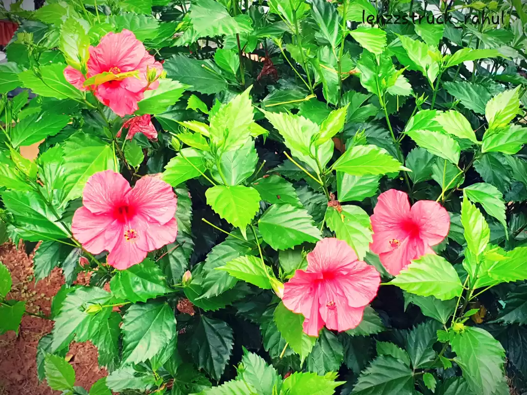 Photo of When it comes to Sco