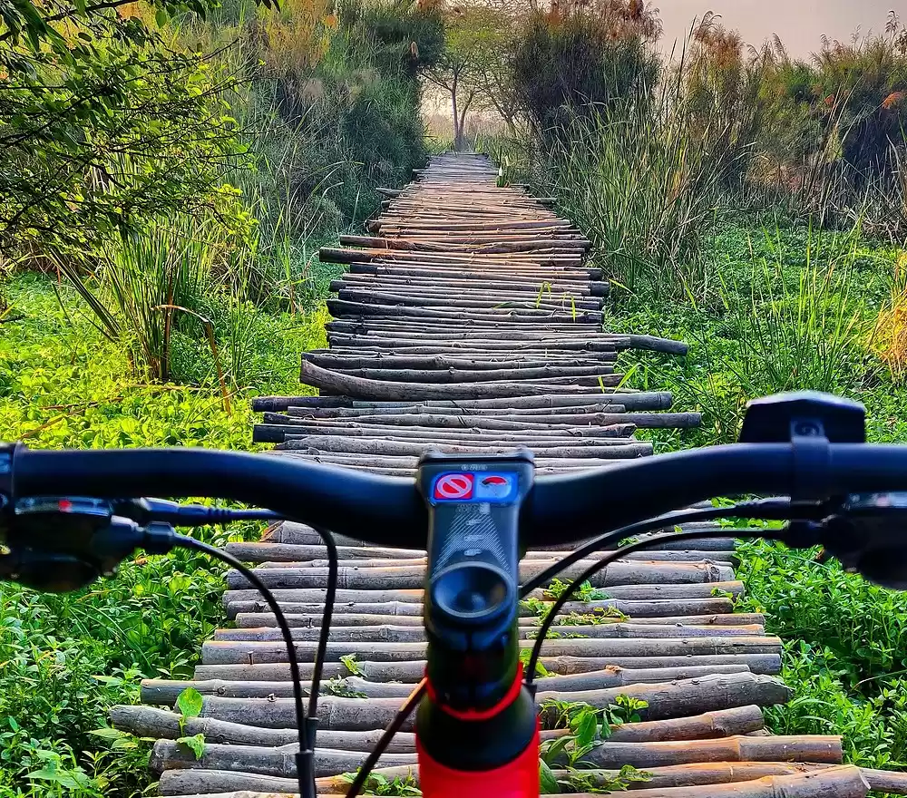 Photo of 7 Tips to Help you A