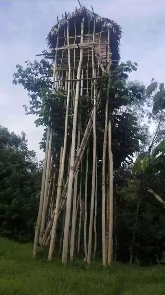 Photo of Papua New Guinea Hol