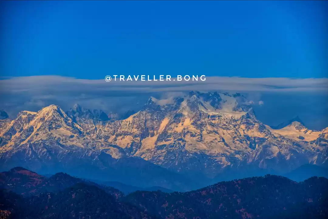 Photo of An Incredible little