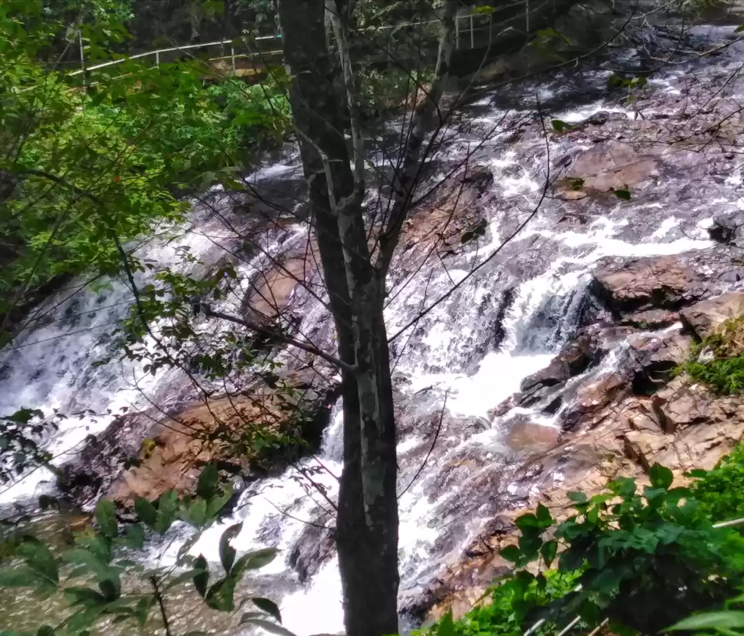 Photo of Anchukuzhy - A templ