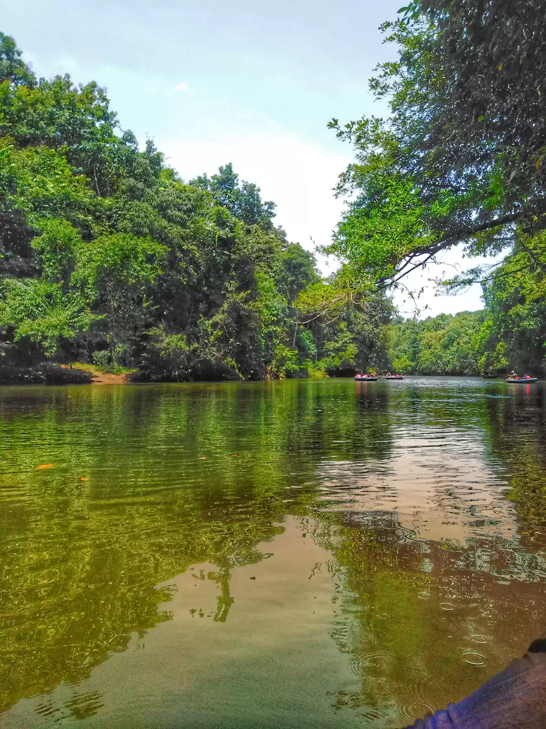 Photo of Adavi - The cradle o