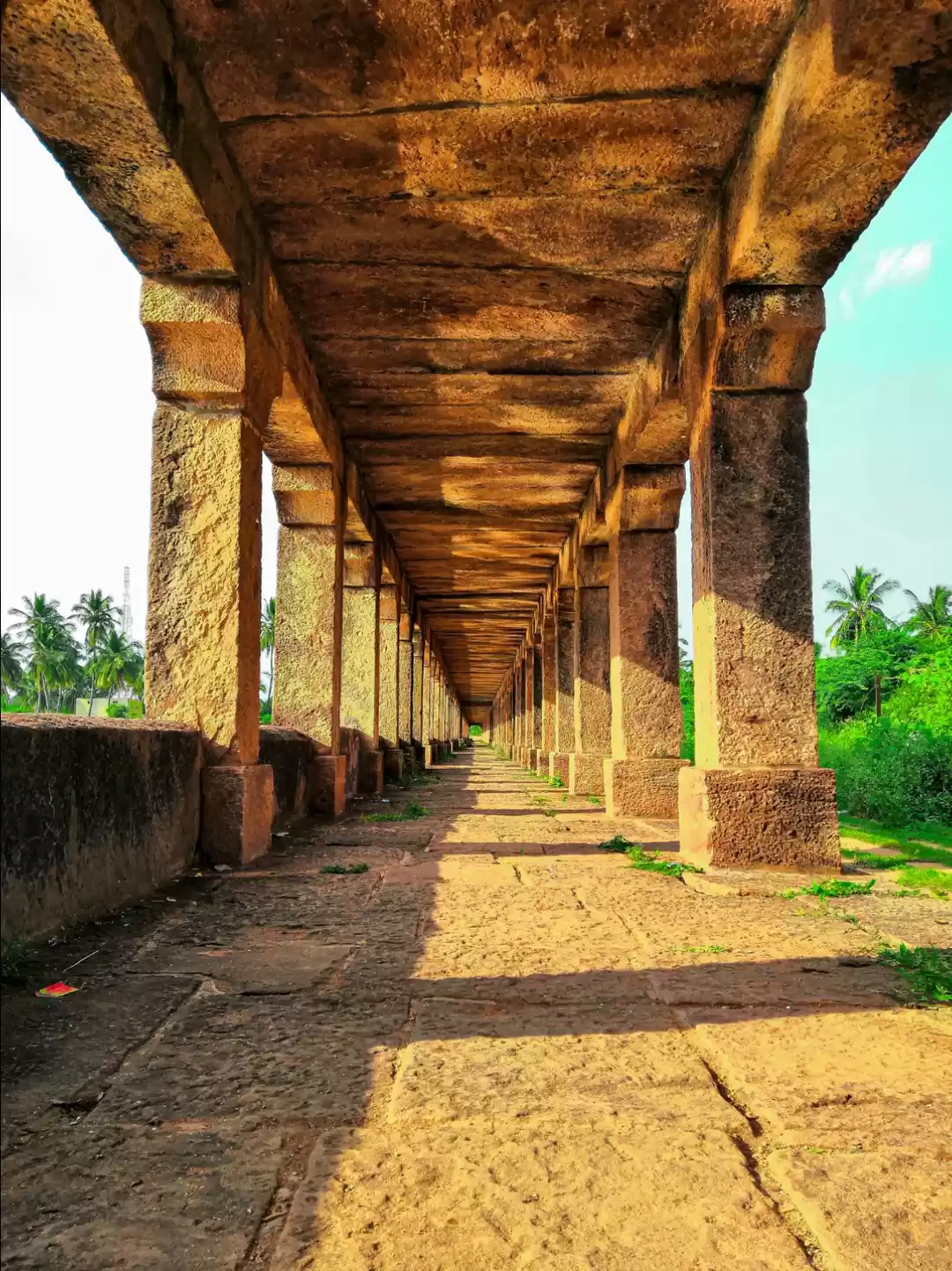 Photo of Banashankari Temple