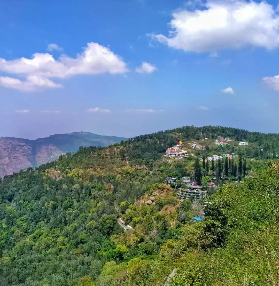 Photo of South Indian Hills
