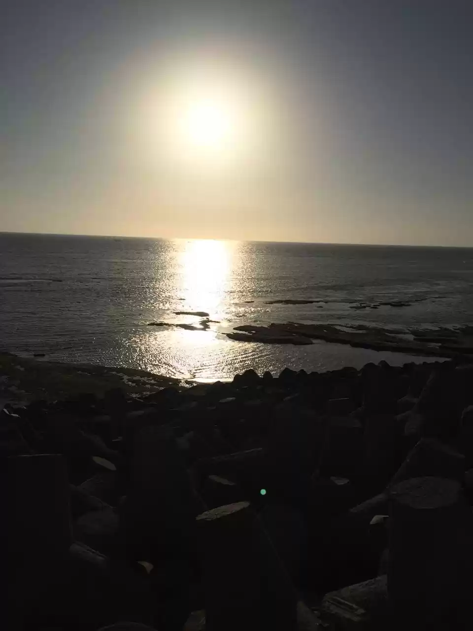 Photo of Shri Krishna ki Dwar