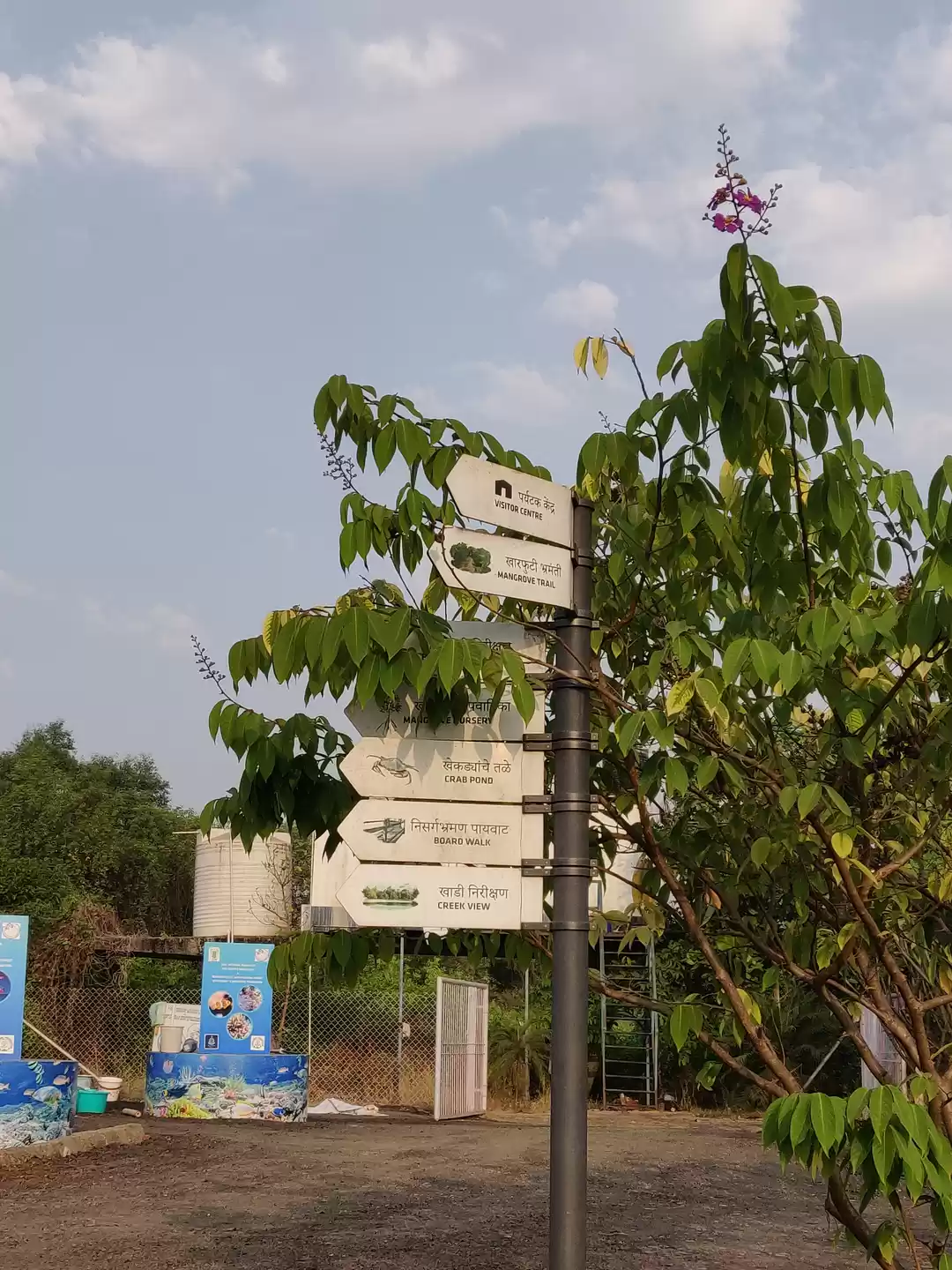 Photo of Wednesday Morning At