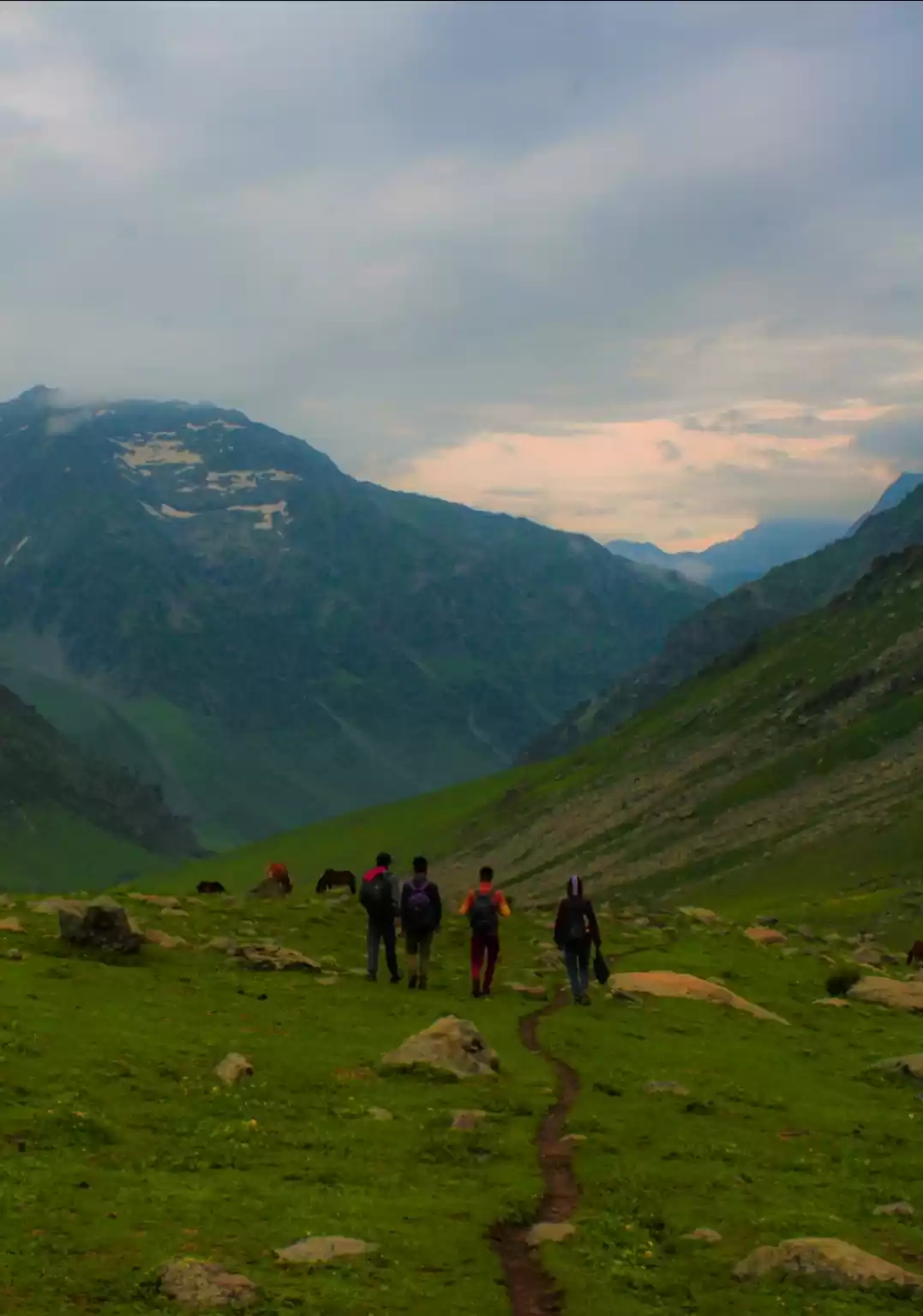 Photo of Tarsar marsar 