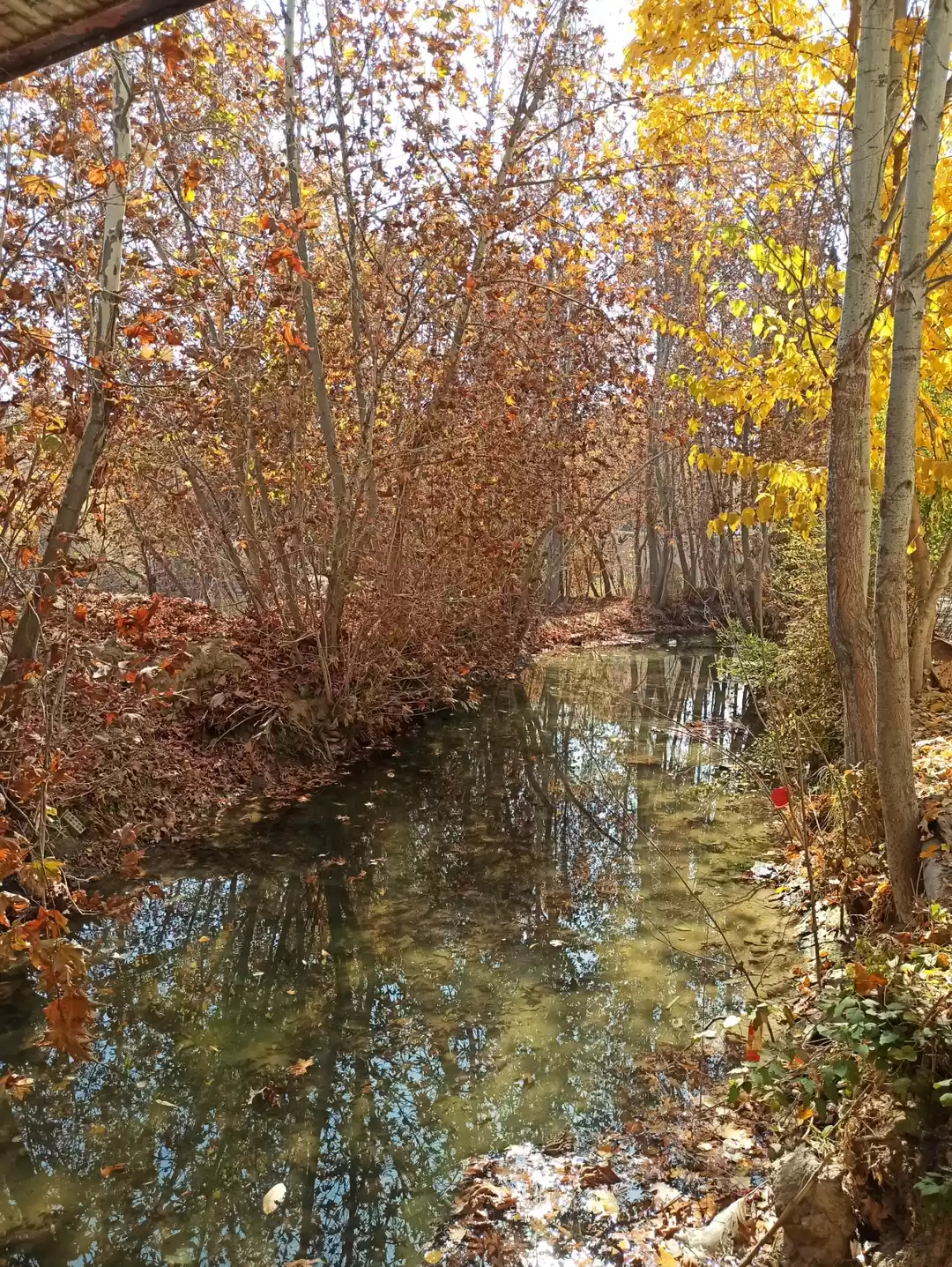 Photo of Around isfahan