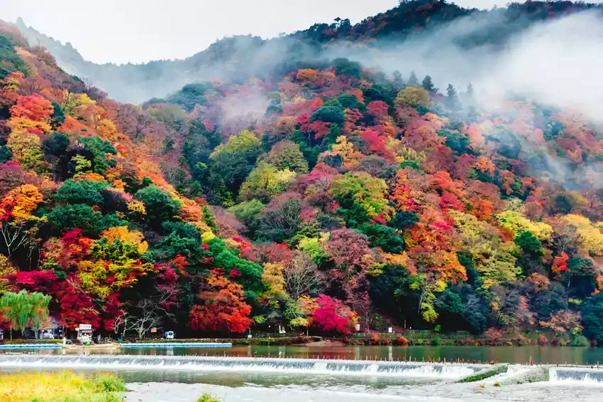 Photo of Kyoto in Autumn