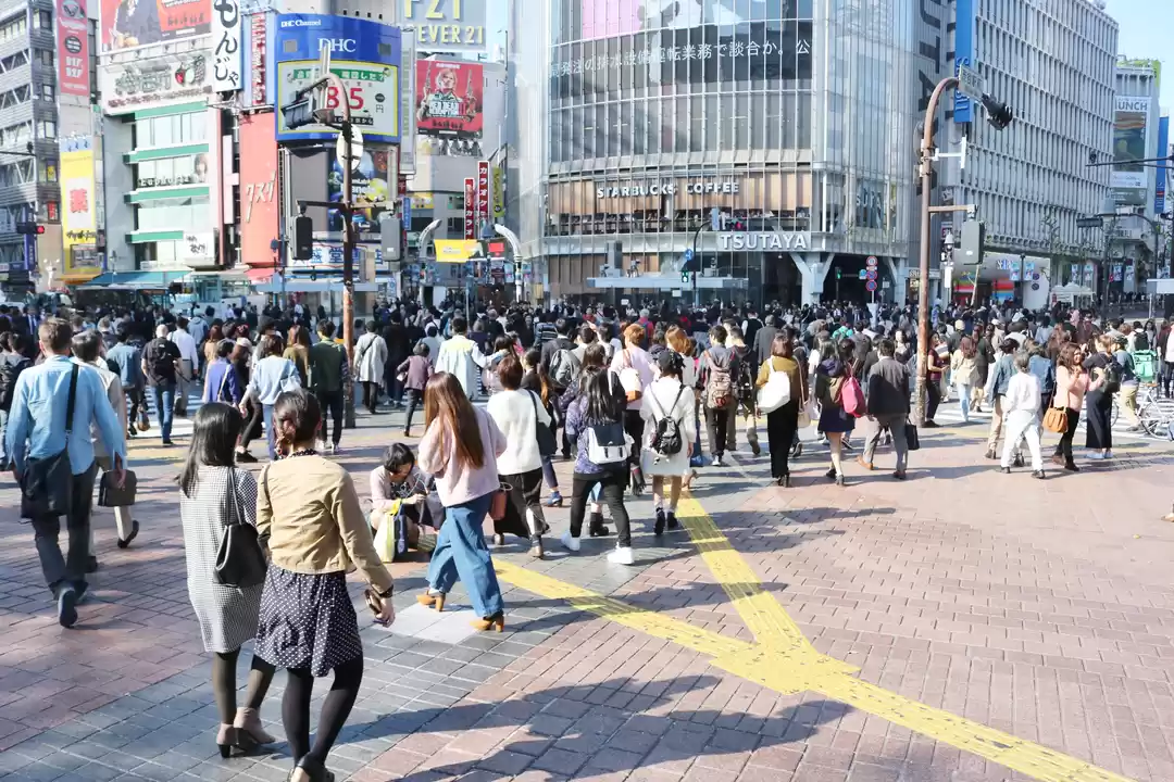 Photo of Shibuya
