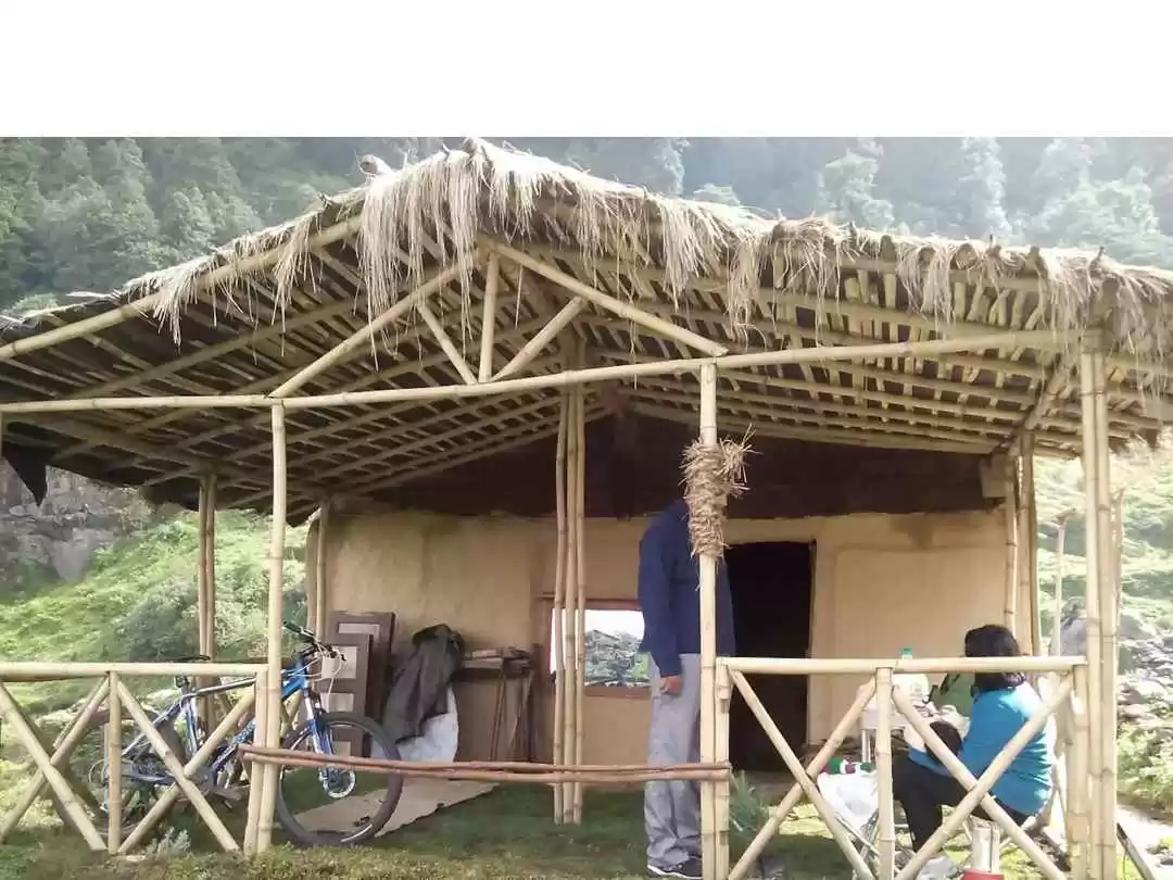 Photo of Chopta: Rhododendron