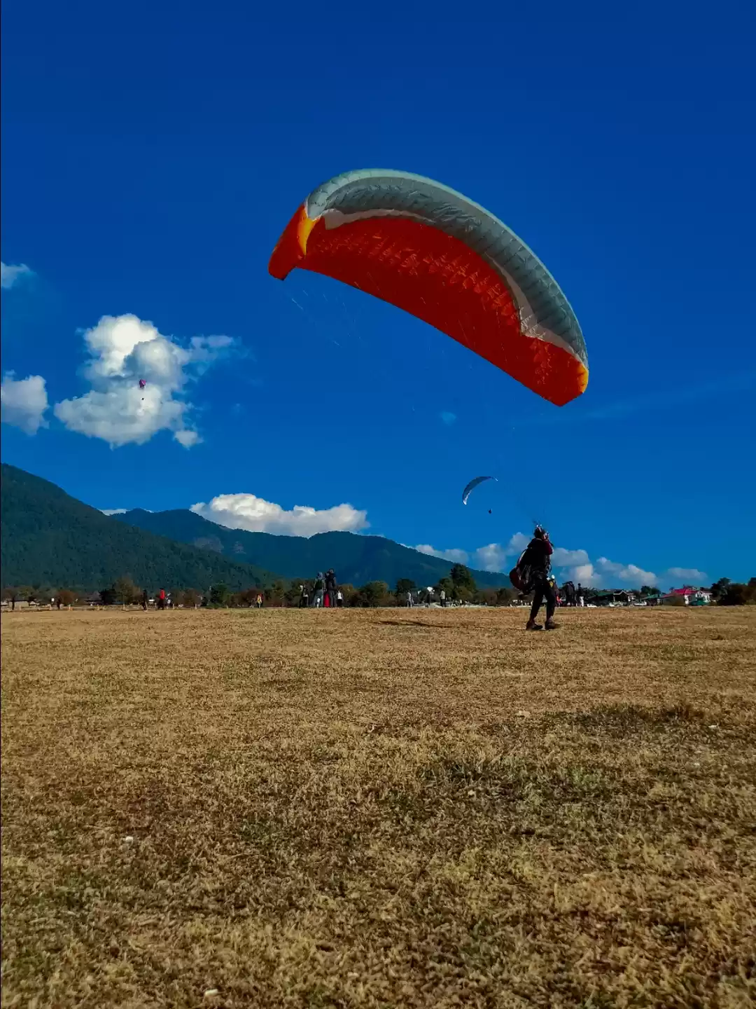 Photo of LANDING POINT BIR