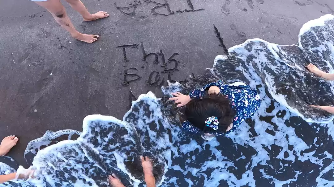 Photo of Turtle Festival, a t