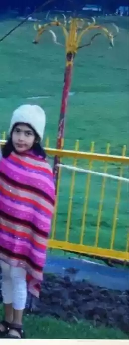 Photo of Swords in Kashmir