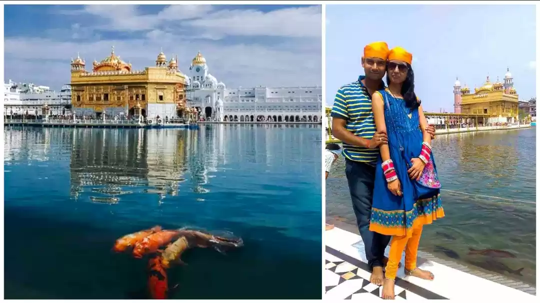 Photo of विविधता में एकता देख