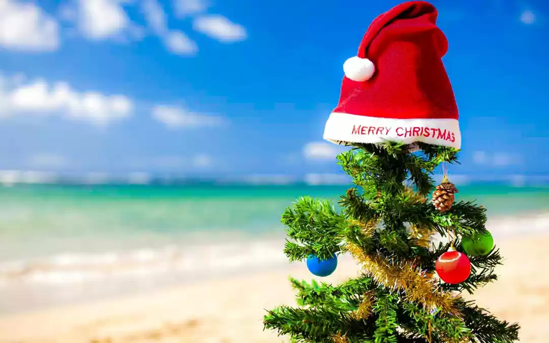Photo of क्रिसमस की छुट्टियां