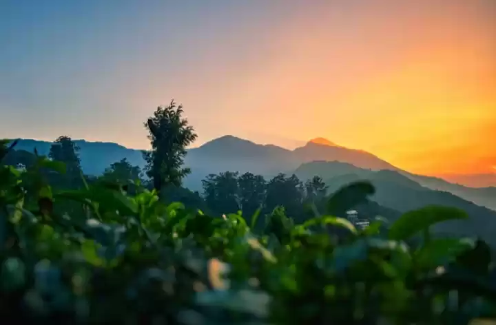 Photo of डोंग:-भारत का वो गाँ