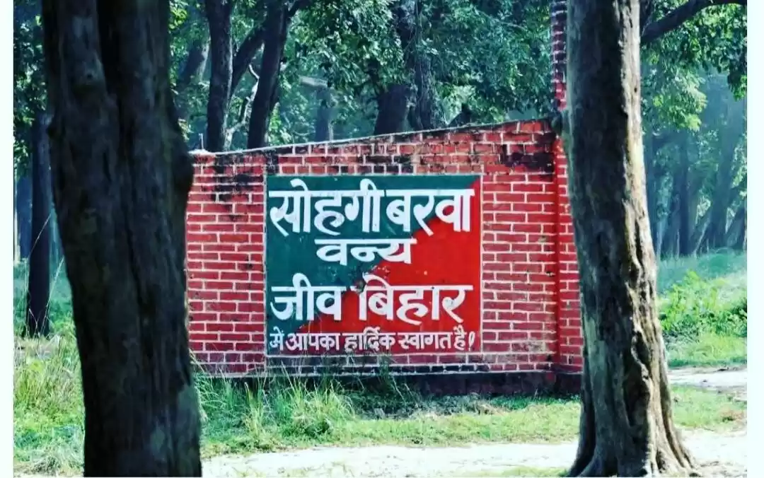 Photo of वाइल्ड लाइफ के शौकीन