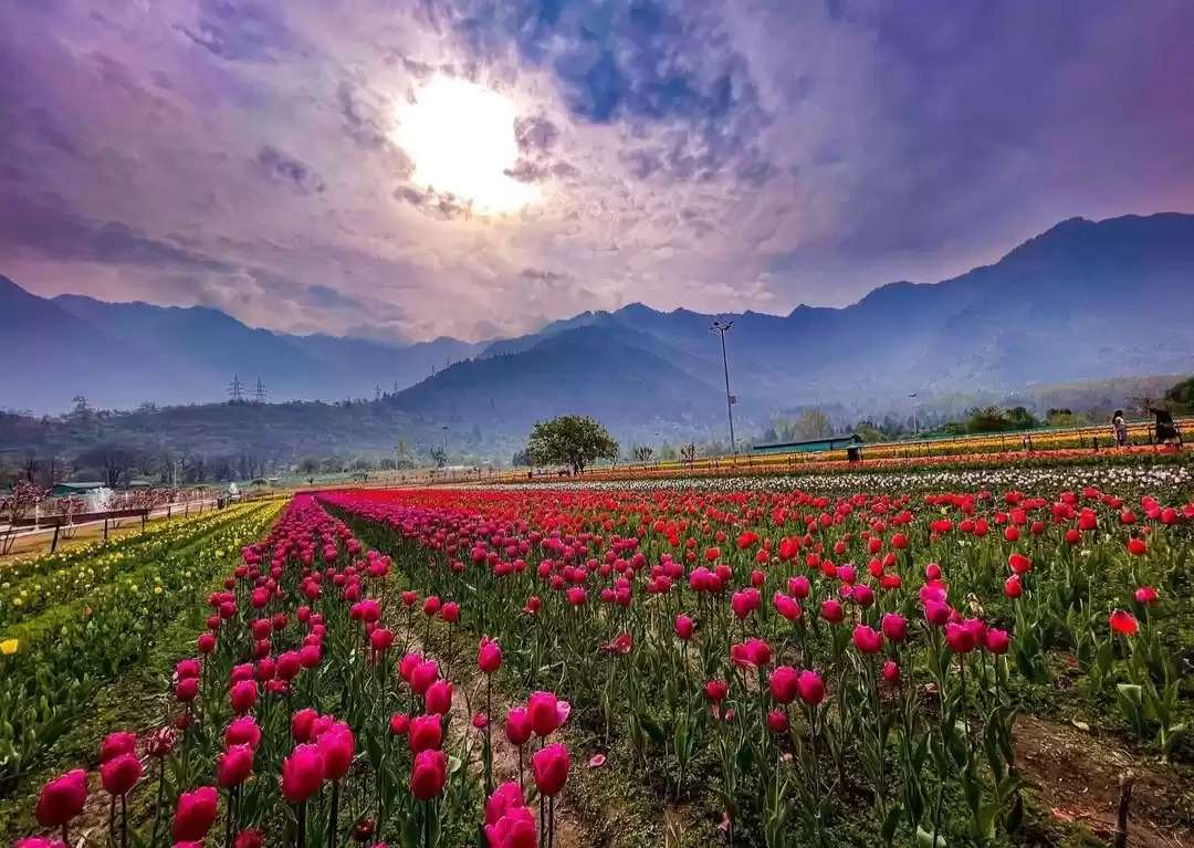 Photo of कश्मीर की वादियों मे