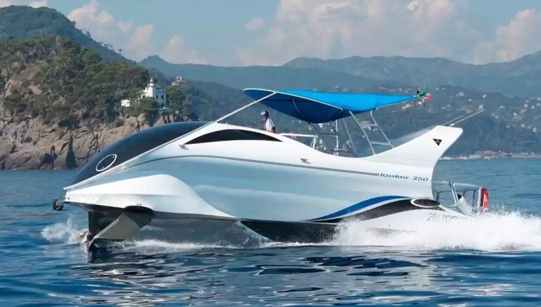 Photo of अंडमान डॉल्फिन ग्लास