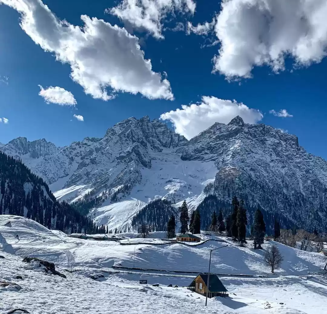 Photo of थाजीवास ट्रेक:धरती क