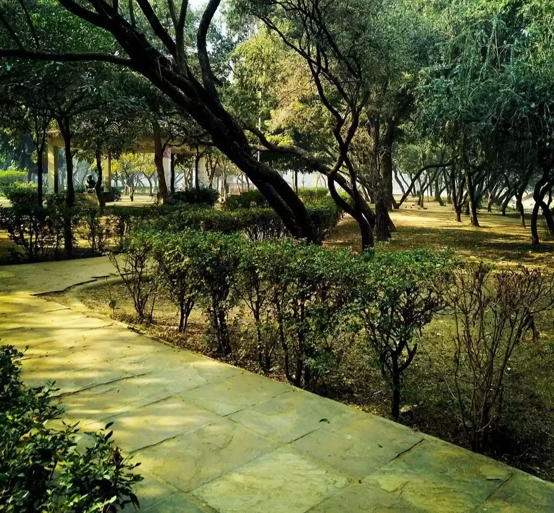 Photo of दिल्ली सरकार की अनोख