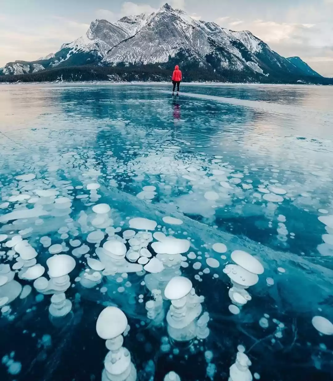 Photo of ये हैं दुनिया के अजी