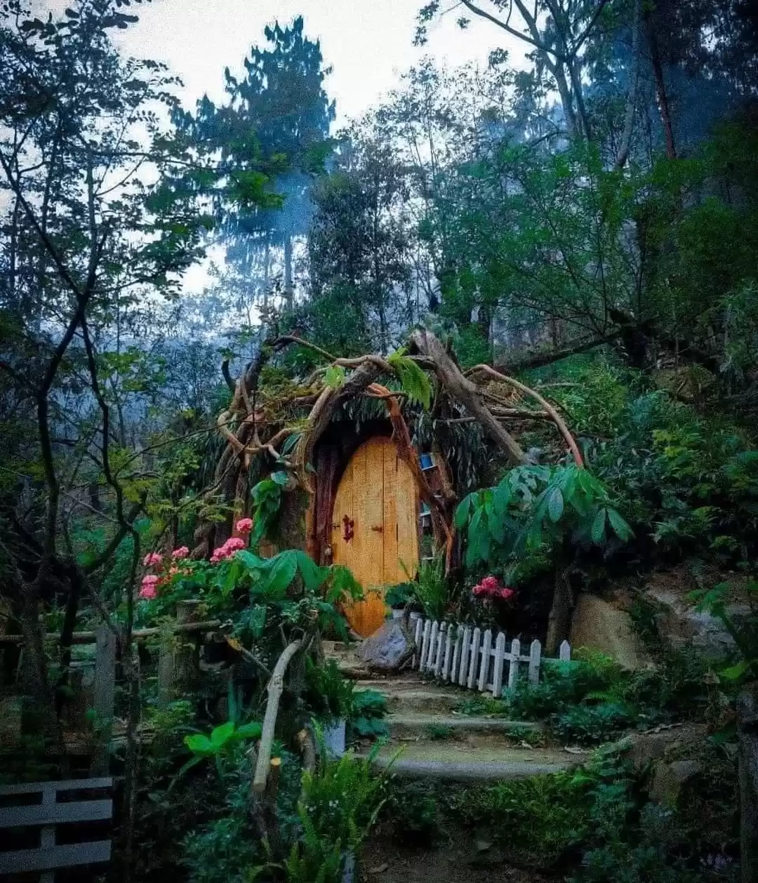 Photo of एक अनोखे अनुभव के लि