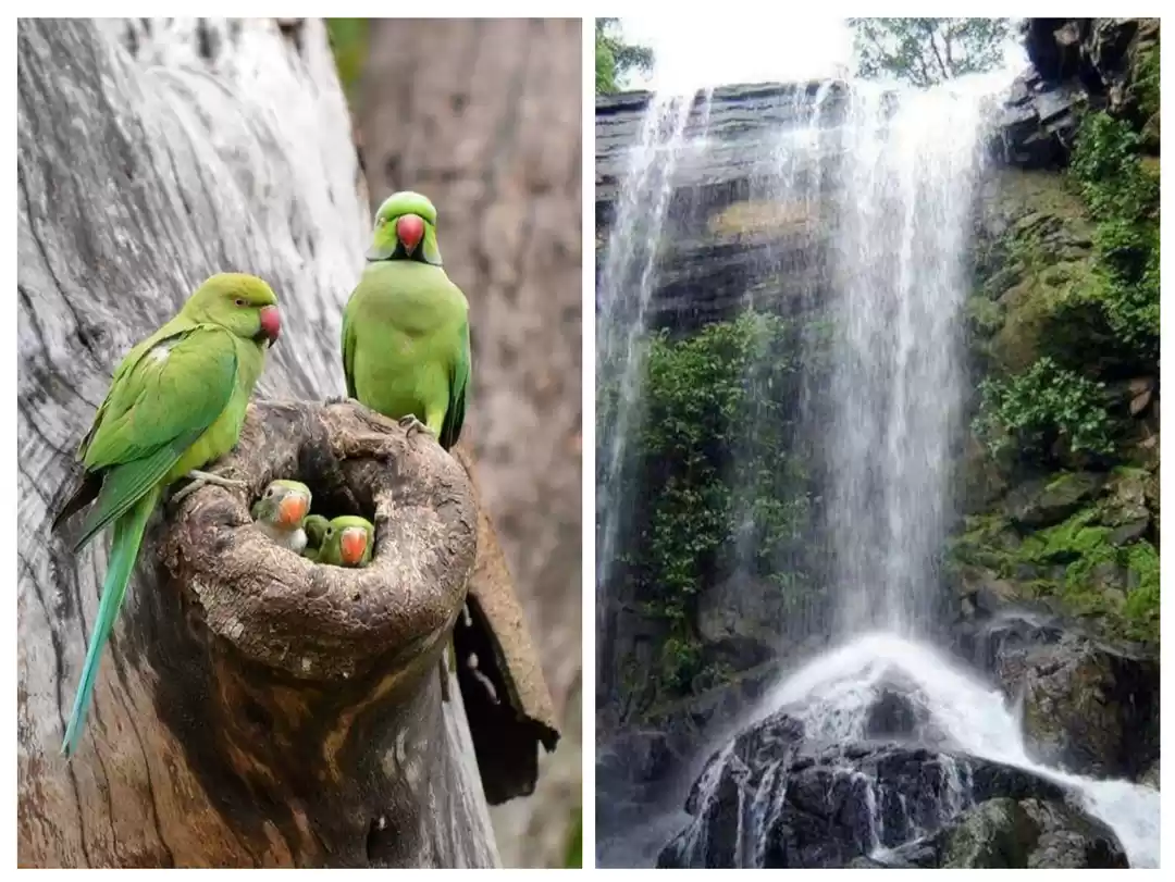 Photo of छत्तीसगढ़ की ये मनमो