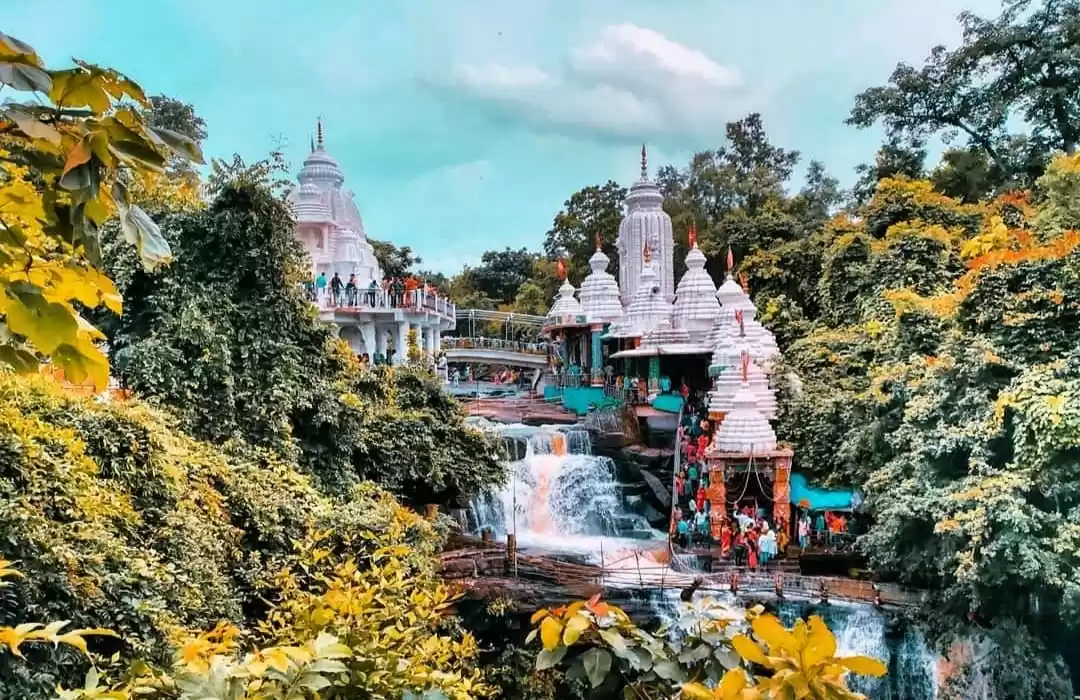 Photo of घने जंगल और खूबसूरत