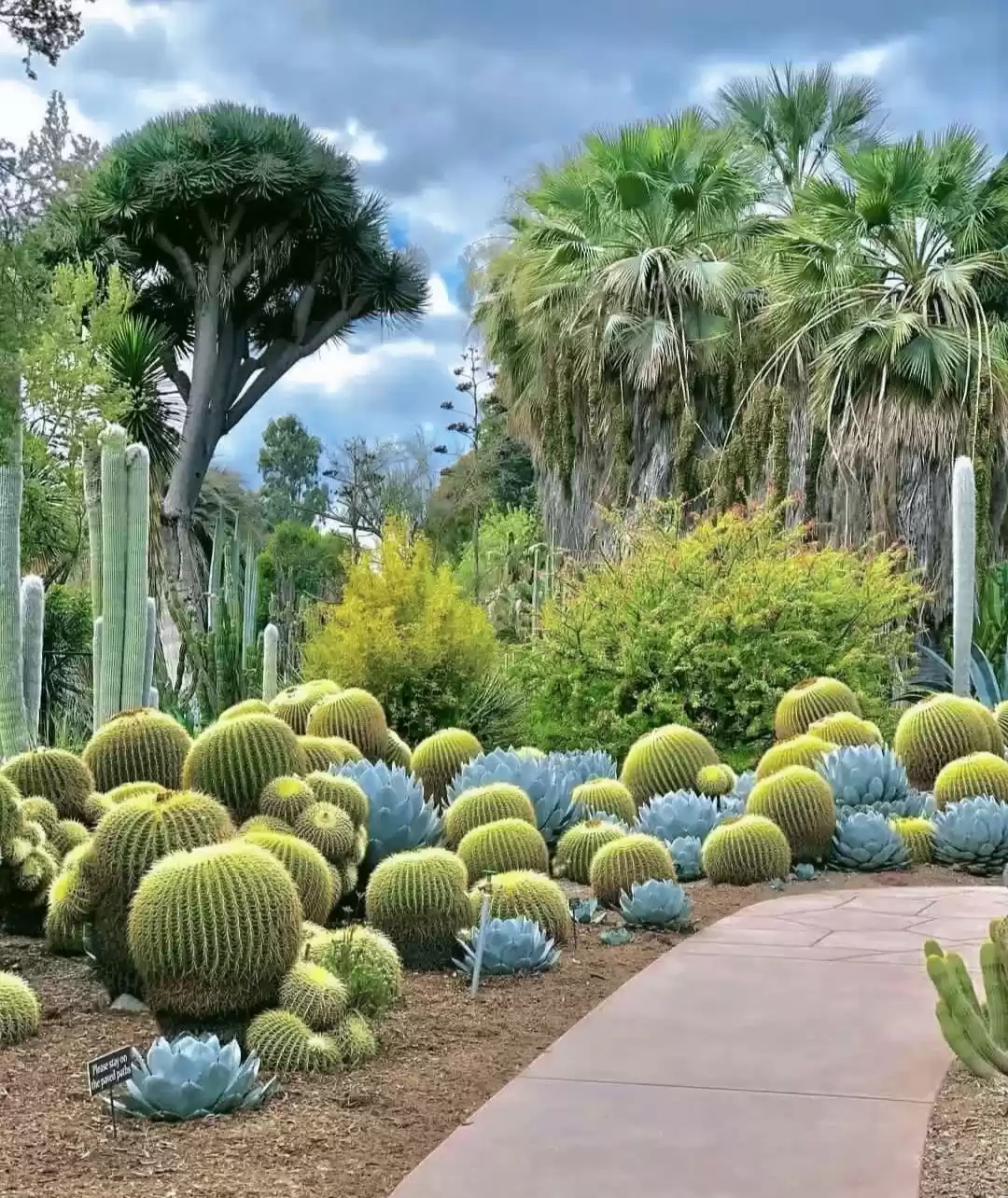 Photo of फूलों का गार्डन तो