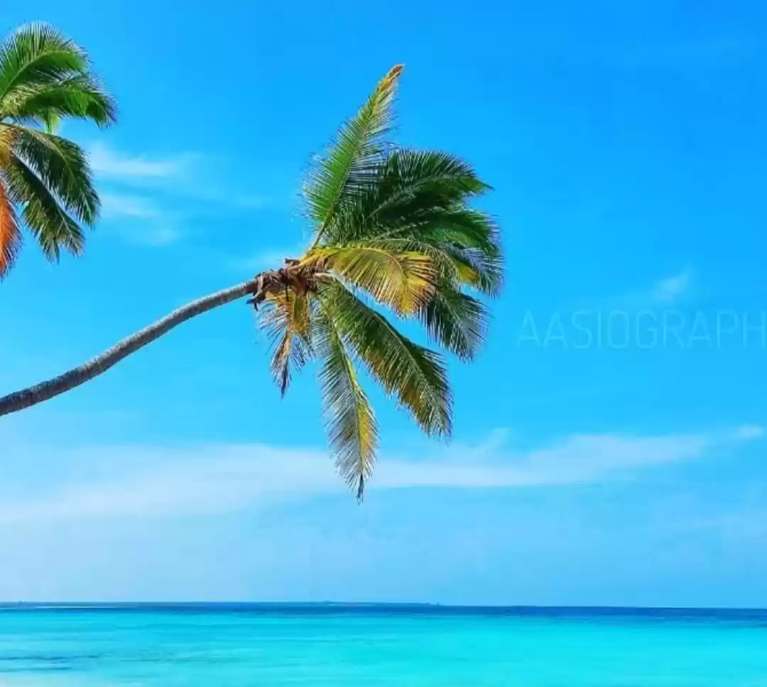 Photo of हनीमून के लिए लक्षदी