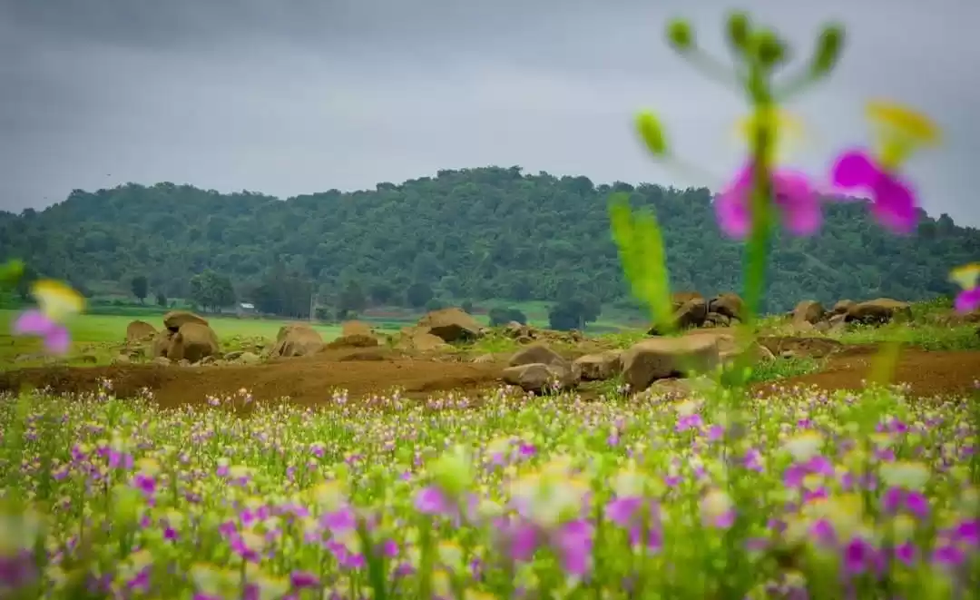 Photo of 'द लैंड ऑफ लीजेंड्
