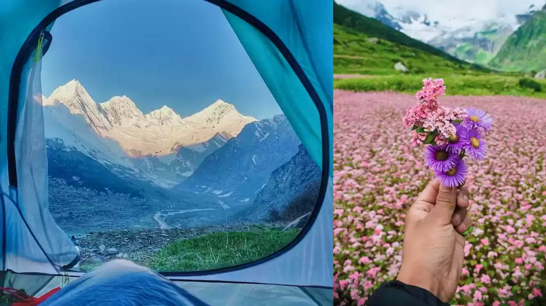 Photo of दारमा वैली : उत्तरा