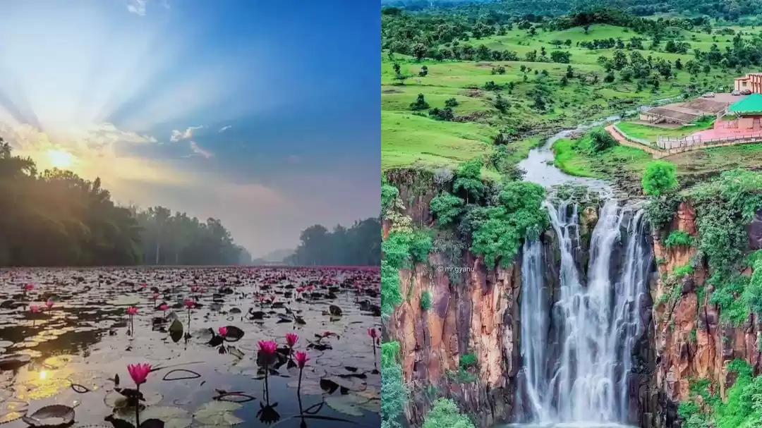 Photo of वसंत की अनोखी छटा द