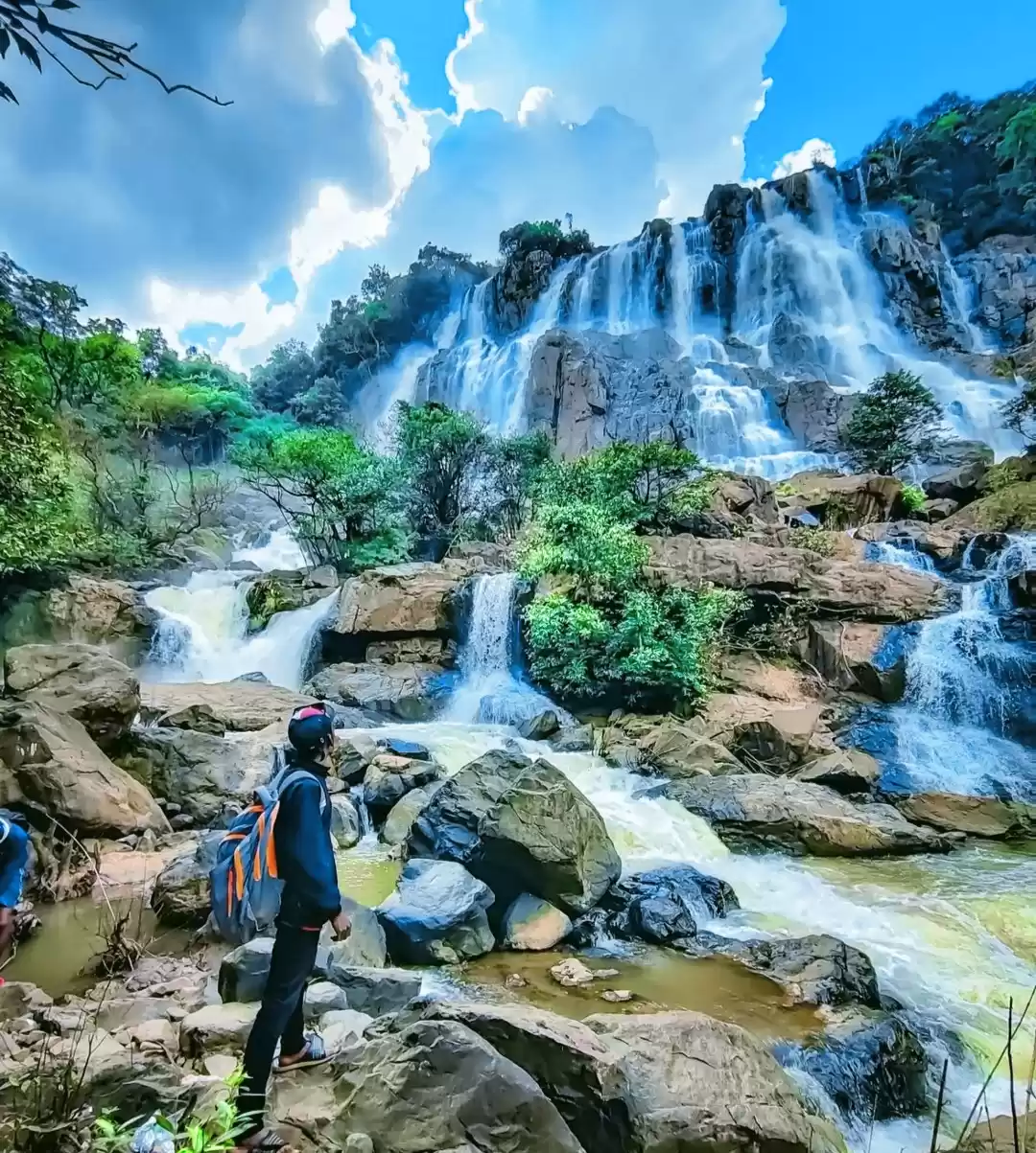 Photo of छत्तीसगढ़ के इस खूबस