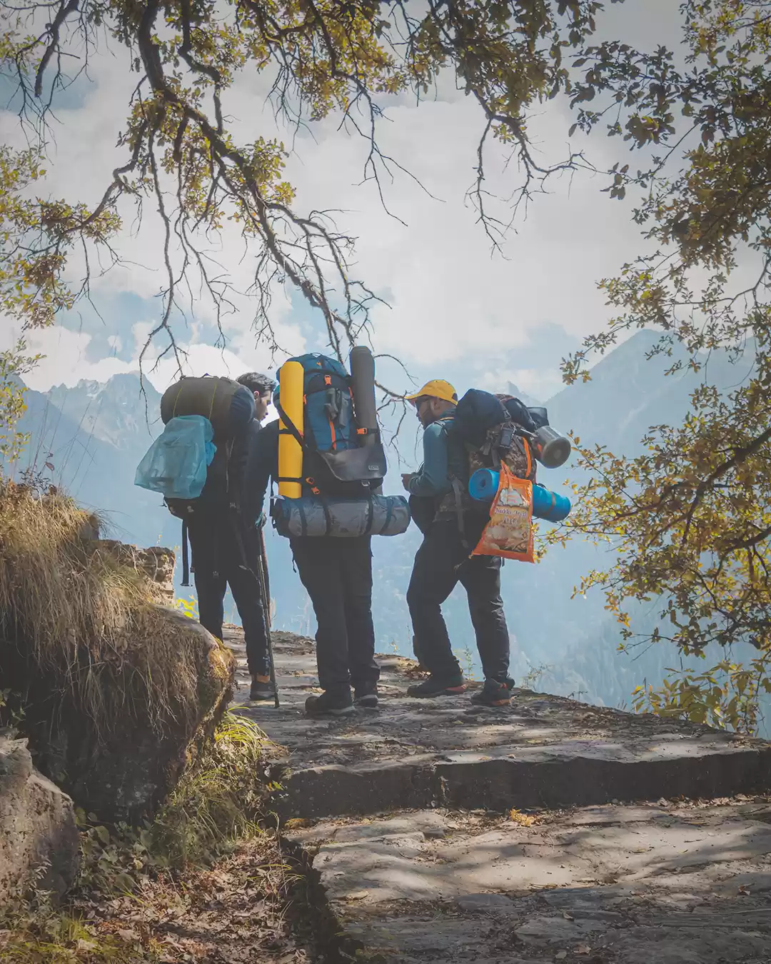 Photo of Into the wilderness 