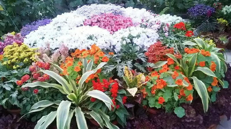 Photo of Garden of Five Sense