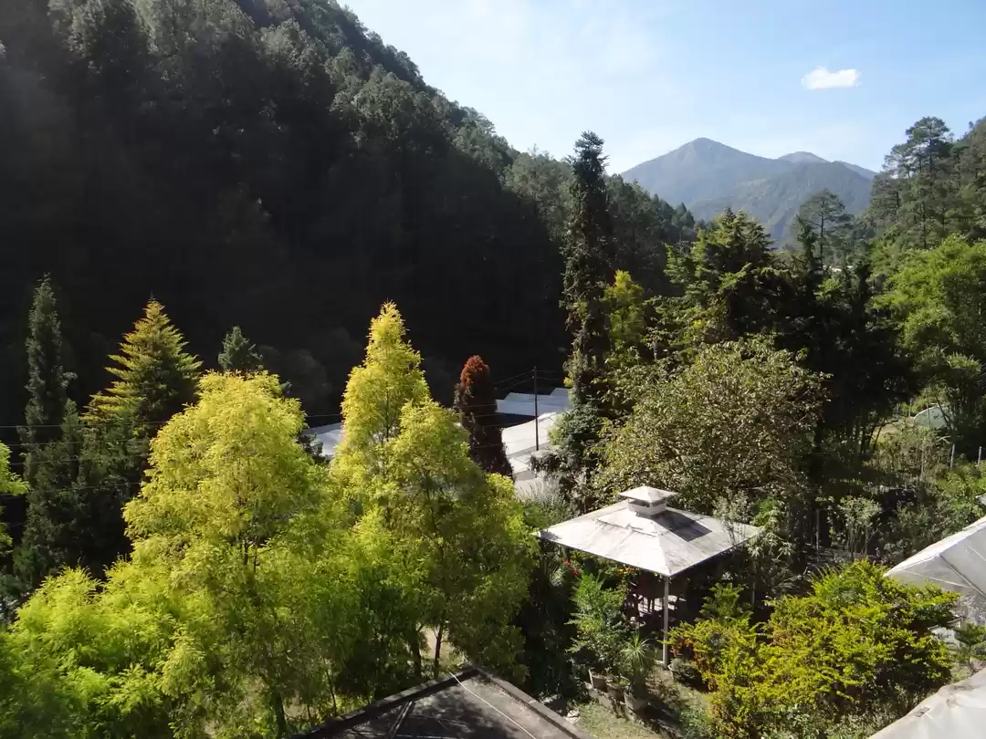 Photo of Roadtrip with Mom