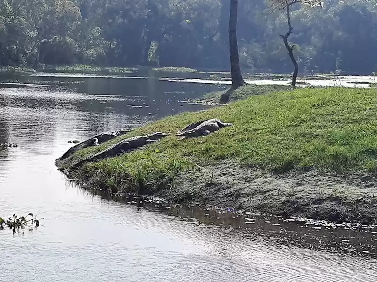 Photo of दर्जनिया ताल जहां है
