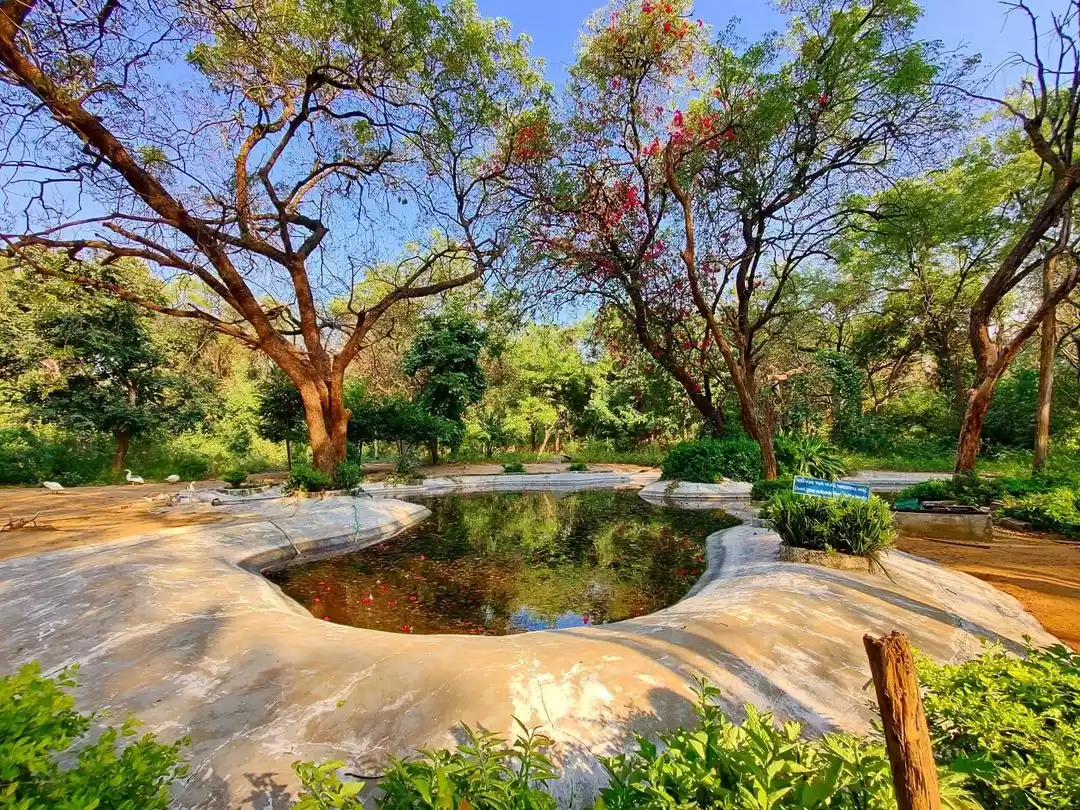 Photo of સ્કૂટર પર જઈ શકાય એવ