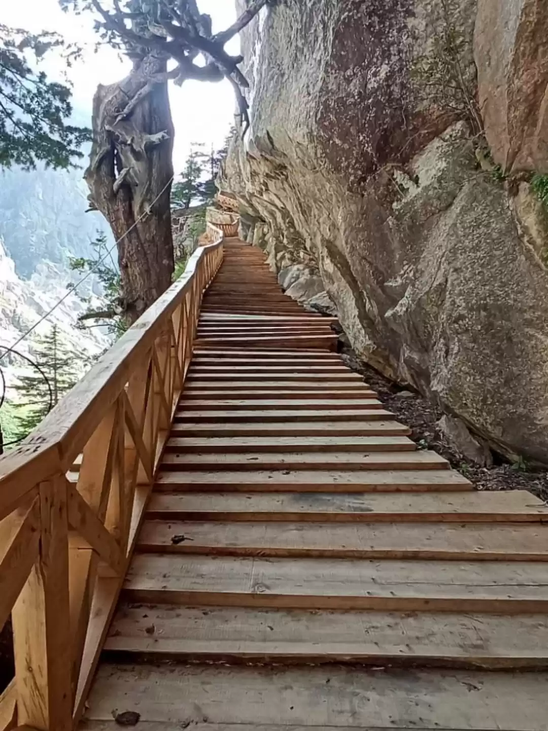 Photo of 11,000 ફૂટની ઊંચાઈ પ