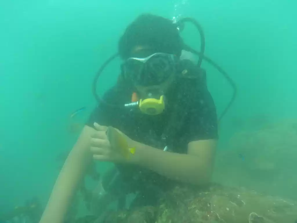 Photo of Wonderful Bali Trave